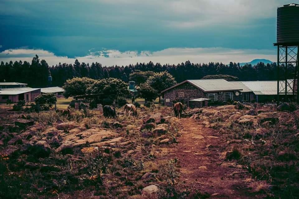 Forest Hill Country Lodge ピート・レティーフ エクステリア 写真