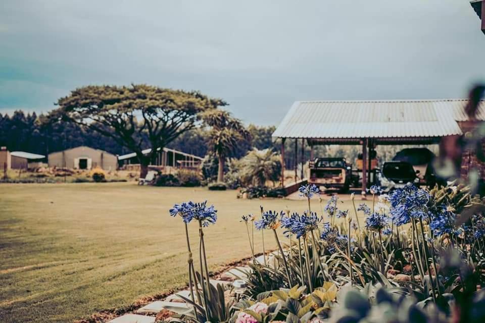 Forest Hill Country Lodge ピート・レティーフ エクステリア 写真