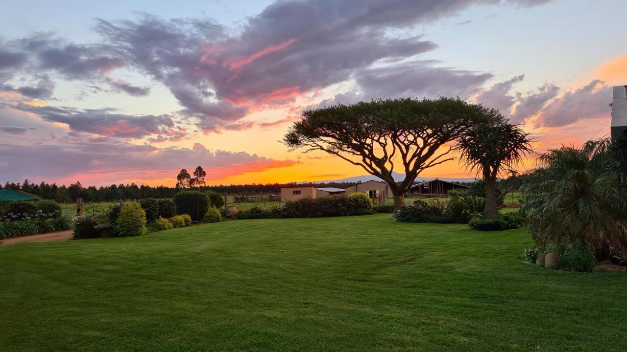 Forest Hill Country Lodge ピート・レティーフ エクステリア 写真