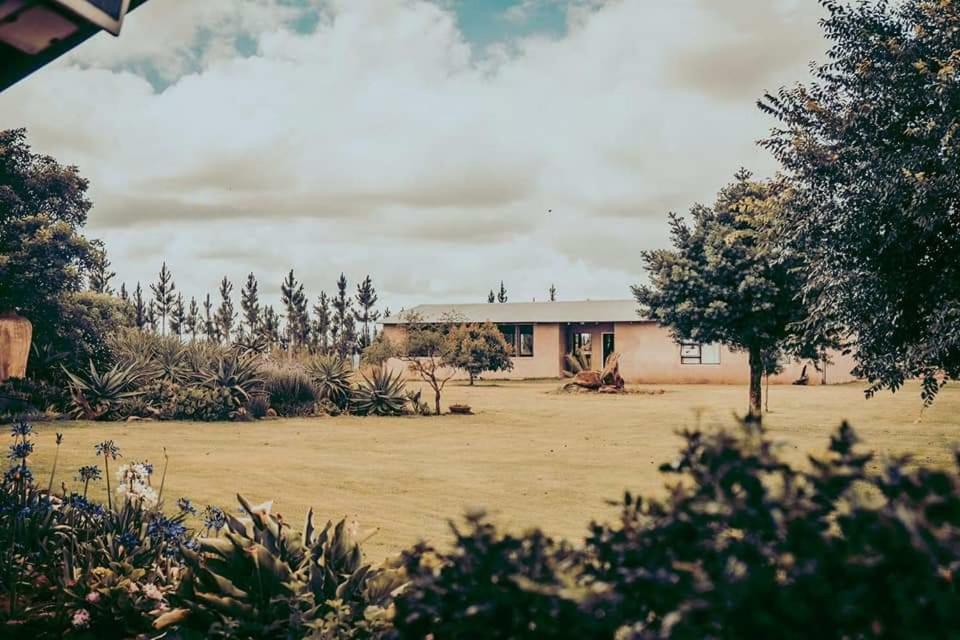 Forest Hill Country Lodge ピート・レティーフ エクステリア 写真